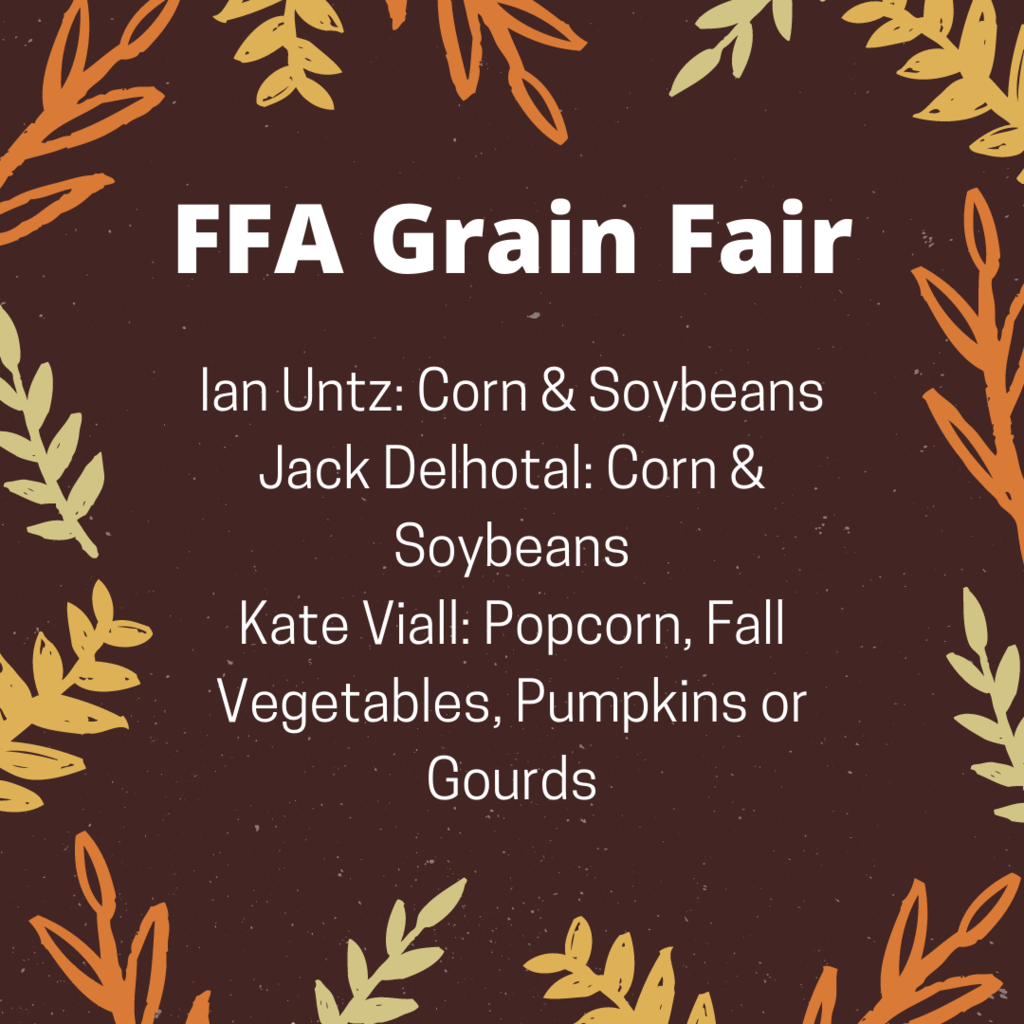 grain fair